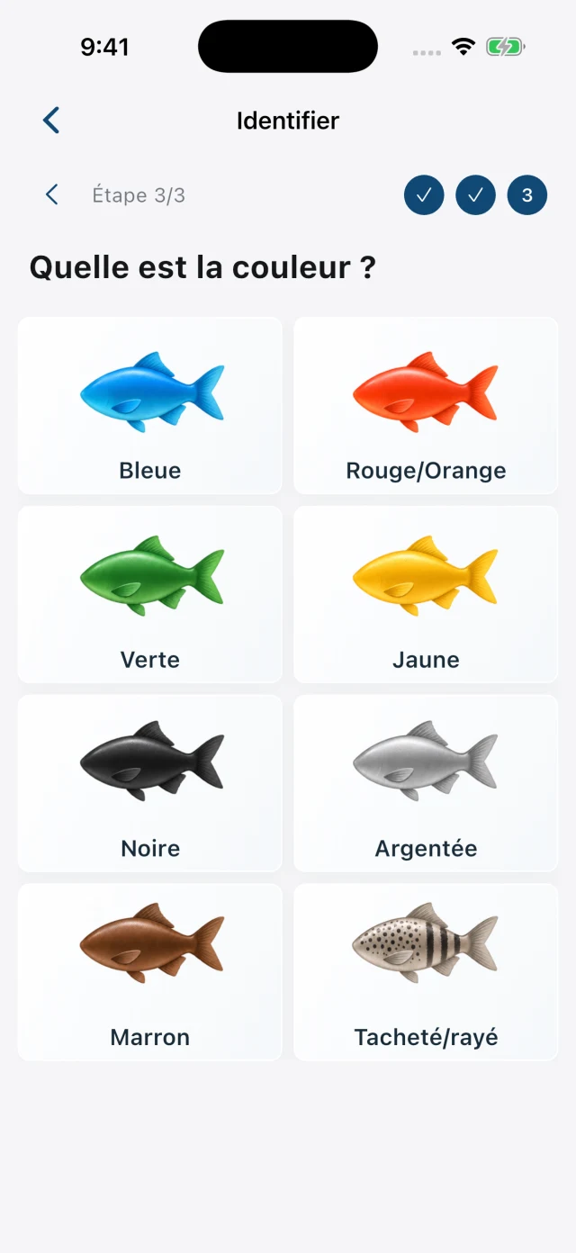 Identification : choisir les couleurs