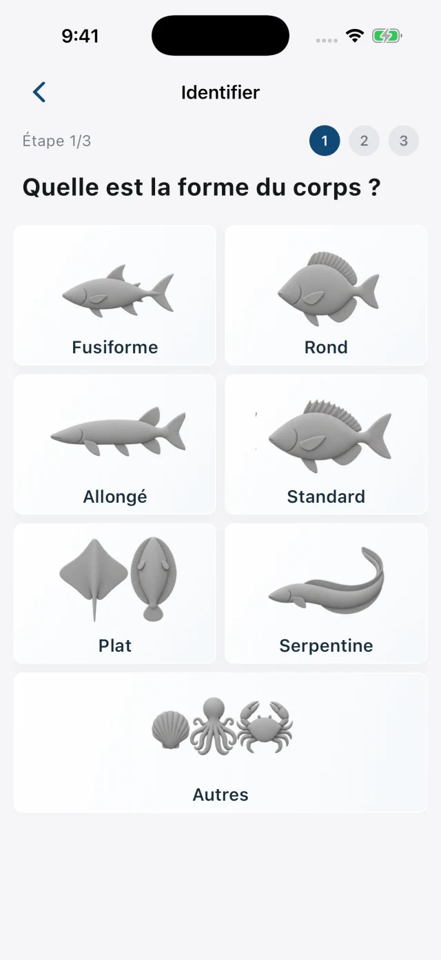 Identification : choisir la forme du poisson