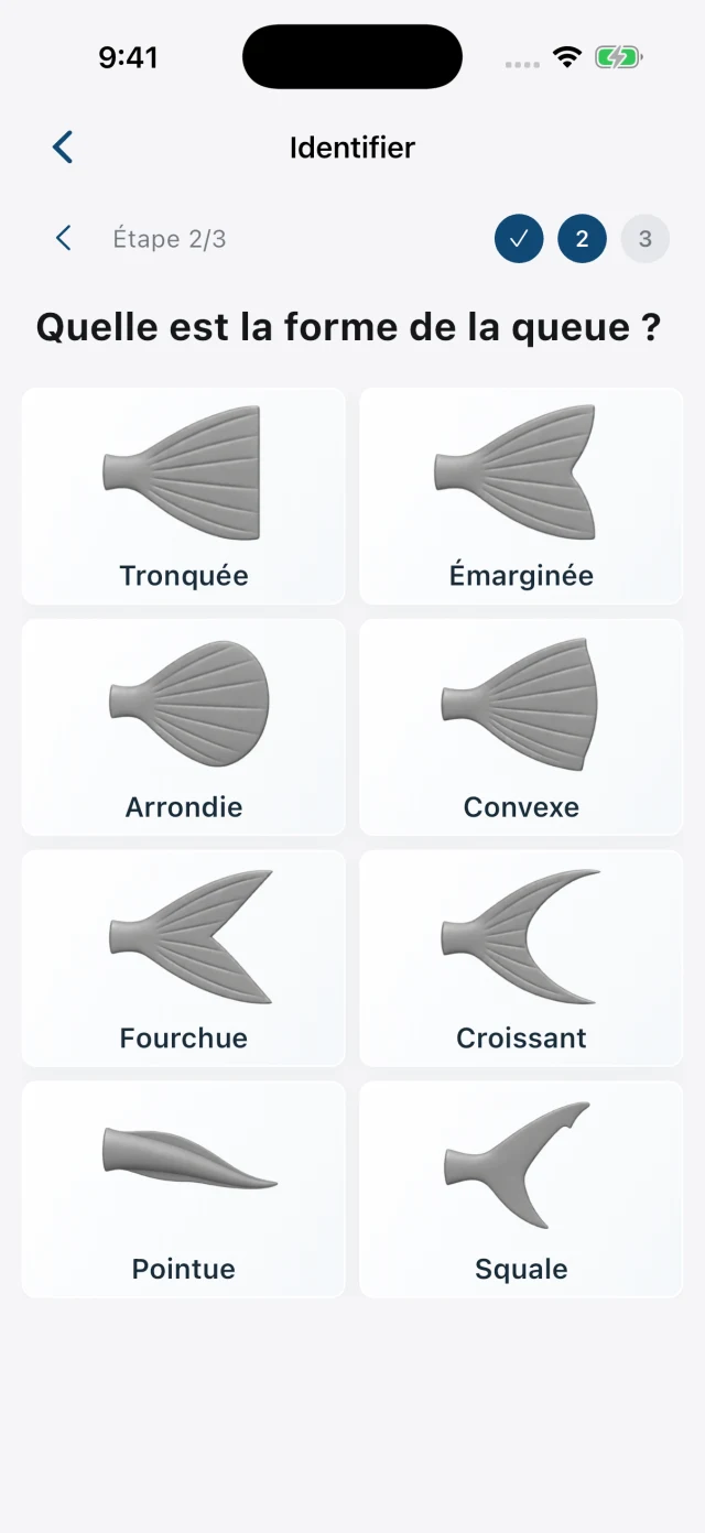Identification : choisir la forme de la queue