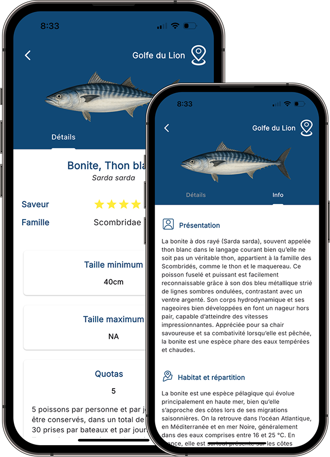 Aperçu d'une fiche espèce détaillée dans HOOKfr : Bonite, taille, quotas et habitat