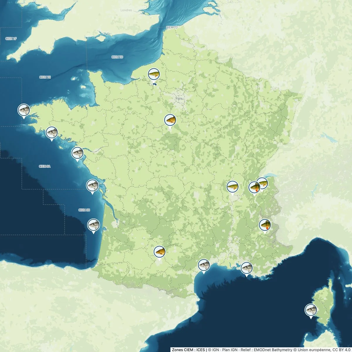 Vraie carte HOOKfr de la France métropolitaine et de la Corse, avec relief marin et repères de démonstration pour le bar, le brochet, la carpe et la perche